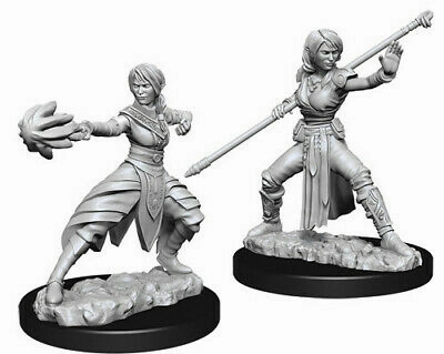D&D Unpainted Minis WV10 Female Half-Elf Monk Journal System