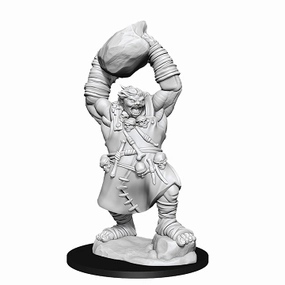 Uncommon Tier PF Unpainted Minis WV11 Ogre