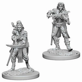 PF Unpainted Minis WV4 Elf Female Bard Matchmaking System