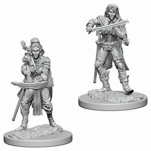 PF Unpainted Minis WV4 Elf Female Bard Matchmaking System