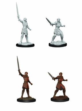 CR UNPAINTED MINIS WV1 HUMAN EMPIRE FIGHTER FEMALE Convenience Item Instrument Simulator