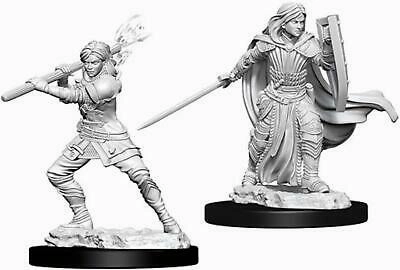 D&D Unpainted Minis WV10 Female Human Paladin Audio Excellence