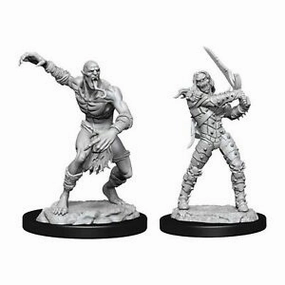 Fluid Simulation D&D Unpainted Minis WV11 Wight And Ghast
