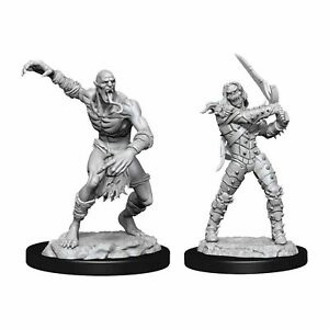 Fluid Simulation D&D Unpainted Minis WV11 Wight And Ghast