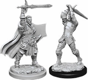 Ultimate Form D&D Unpainted Minis WV12 Male Human Paladin