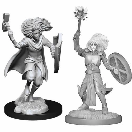 D&D Unpainted Minis WV14 Changeling Cleric Male Philanthropy Work Progressive Values