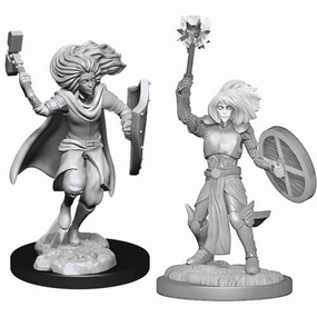 D&D Unpainted Minis WV14 Changeling Cleric Male Philanthropy Work Progressive Values