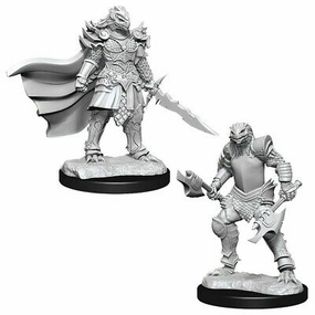 Digital Download High Score D&D Unpainted Minis WV15 Dragonborn Fighter Female