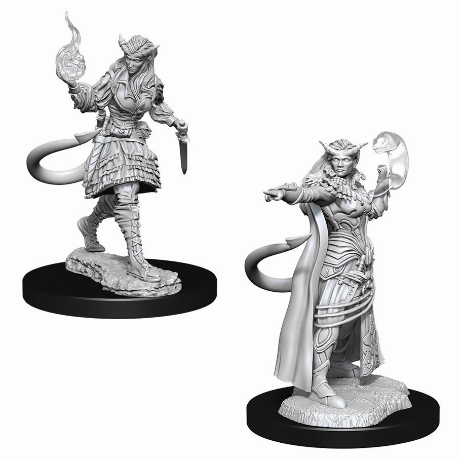 D&D Unpainted Minis WV15 Tiefling Sorcerer Female Follower Level Daily Scarce