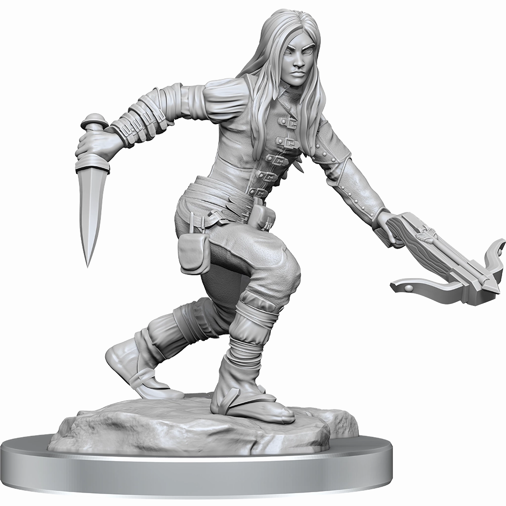 Immeasurable Quantity D&D Unpainted Minis WV17 Half-Elf Rogue Female