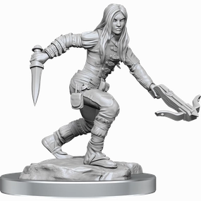 Immeasurable Quantity D&D Unpainted Minis WV17 Half-Elf Rogue Female
