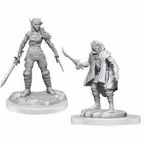 Advanced Beginner D&D Unpainted Minis WV19 Rogue & Half-Elf Rogue Protege