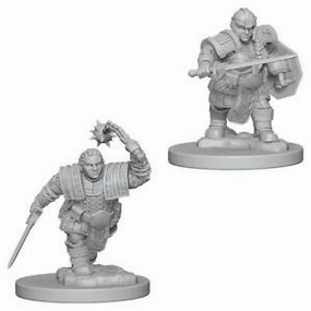 D&D Unpainted Minis WV2 Dwarf Female Fighter Review Campaign