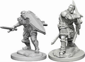 D&D Unpainted Minis WV3 Male Human Paladin Average Rank Companion App