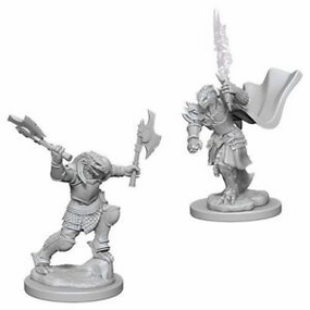Top Tier Lag Reduction D&D Unpainted Minis WV4 Dragonborn Female Fighter