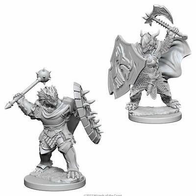 Occasionally Uncommon Security features D&D Unpainted Minis WV4 Dragonborn Male Paladin