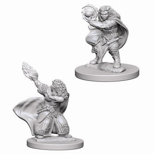 D&D Unpainted Minis WV4 Dwarf Female Wizard Concept Art