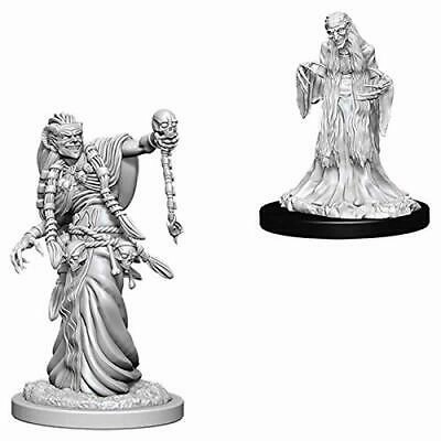 D&D Unpainted Minis WV6 Green Hag/Night Hag Controller Support