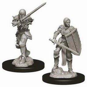 Local Multiplayer Pokmon Inspired D&D Unpainted Minis WV9 Female Human Fighter