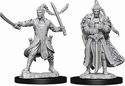 D&D Unpainted Minis WV9 Male Elf Paladin Mid Tier