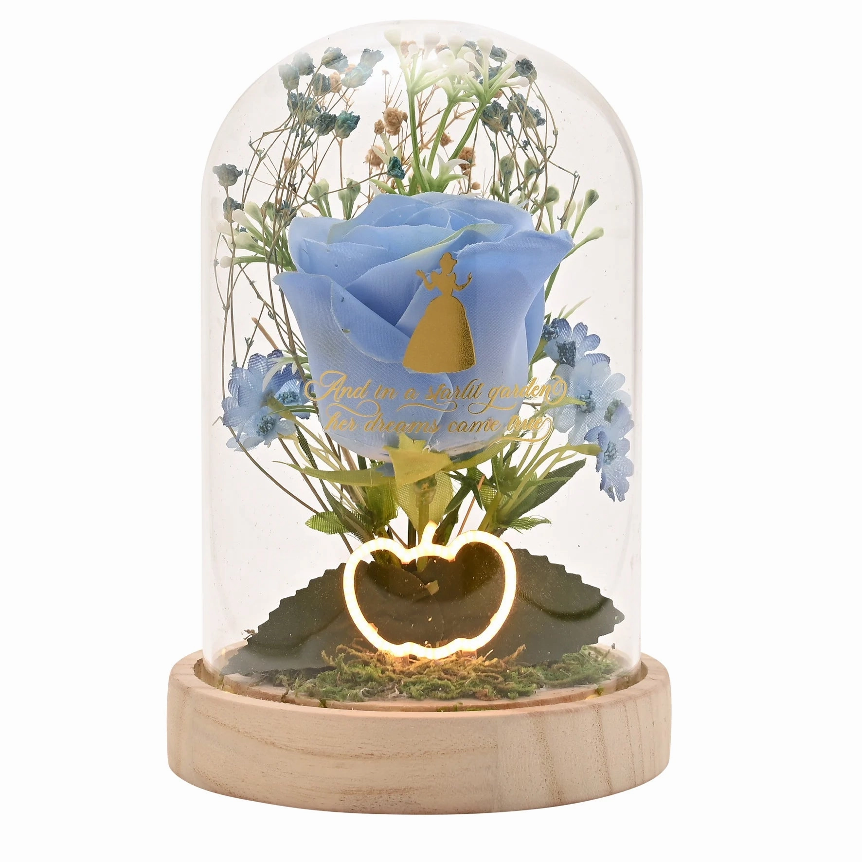 DISNEY PRINCESSES - Cendrillon - Cloche Florale avec Lumi??re N??on Tiny Case