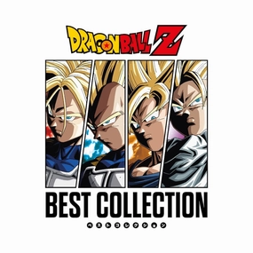 Ensemble Cast Set Craftsperson DRAGON BALL Z - Vinyle Best Collection Limited Edition
