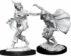PF Unpainted Minis WV14 Human Rogue Female Energy System
