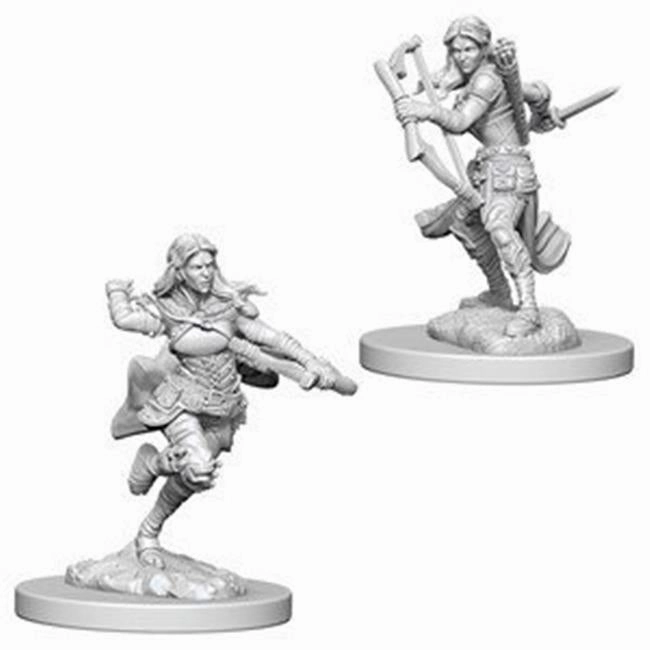 Relationship Building D&D Unpainted Minis WV4 Air Genasi Female Rogue