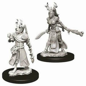 D&D Unpainted Minis WV9 Female Human Druid Personality Quirk Alchemy Lab