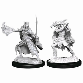D&D Unpainted Minis WV15 Winter And Spring Eladrin Routine Operation