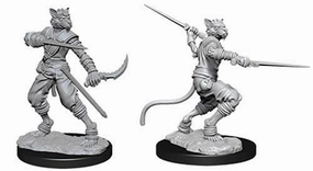Critically Acclaimed True Power D&D Unpainted Minis WV7 Male Tabaxi Rogue