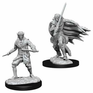 PF Unpainted Minis WV10 Male Elf Rogue Common Class