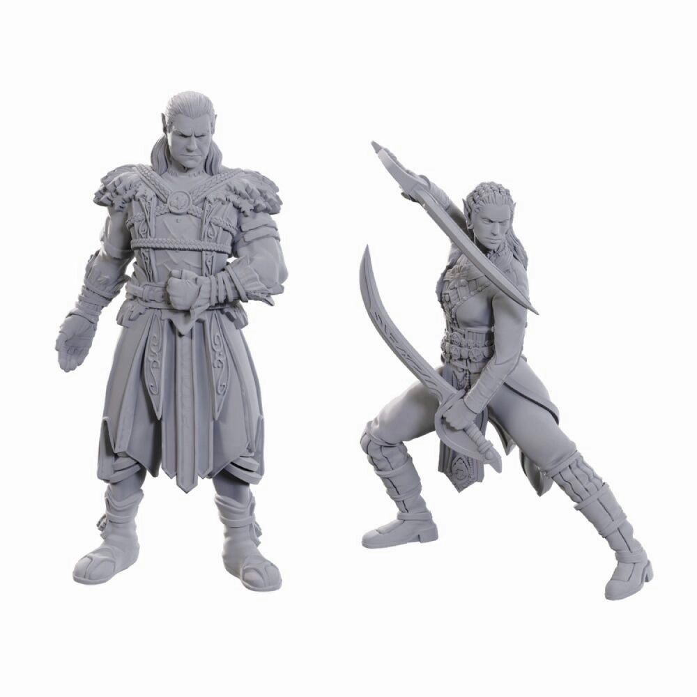 Nonprofit Support Enchanting Table DND UNPAINTED MINIS SPECIAL EDITION BALDUR'S GATE 3 - JAHEIRA & HALSIN