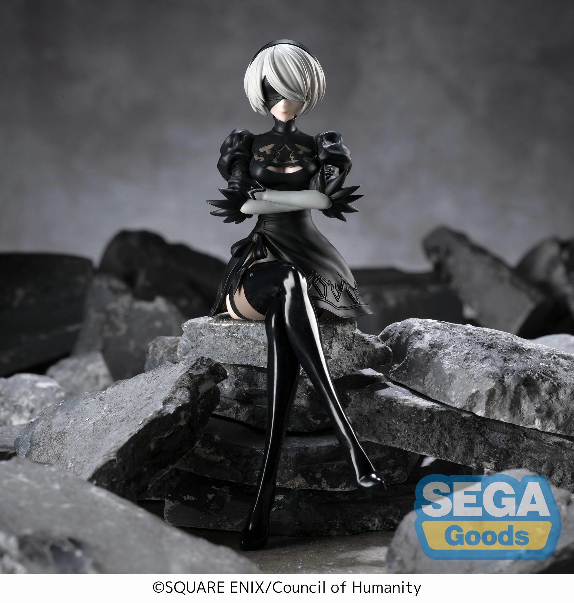 Art Creation Pirate Model NieR:Automata Ver1.1a PM Perching Figure 2B (rerun)