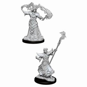 PF Unpainted Minis WV11 Male Human Sorcerer Safe Environment