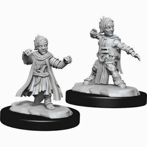 Comedy Relief Vehicle Physics PF Unpainted Minis WV15 Halfling Monk Male