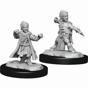 Comedy Relief Vehicle Physics PF Unpainted Minis WV15 Halfling Monk Male