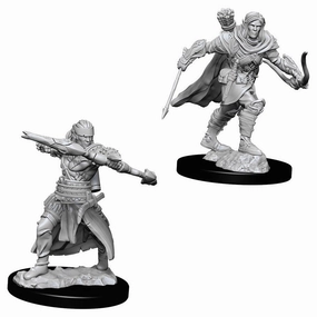 Educational Program PF Unpainted Minis WV7 Male Half-Elf Ranger