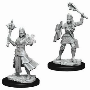 D&D Unpainted Minis WV8 Female Human Cleric Quintessential Master Wisdom