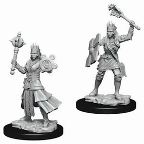 D&D Unpainted Minis WV8 Female Human Cleric Quintessential Master Wisdom