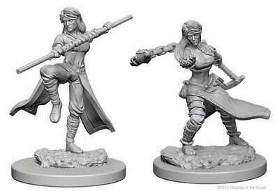 Open Beta Personality Quirk D&D Unpainted Minis WV1 Female Human Monk