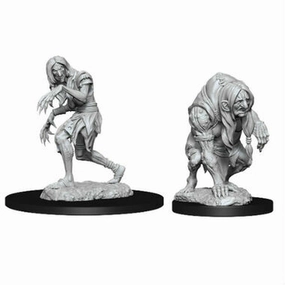 Green Initiative PF Unpainted Minis WV14 Annis Hag And Green Hag