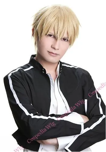 "Fate/stay night" Gilgamesh style cosplay wig Seasonal Changes Labor Love