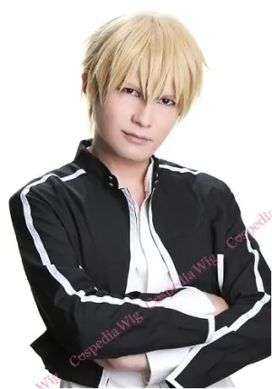"Fate/stay night" Gilgamesh style cosplay wig Seasonal Changes Labor Love