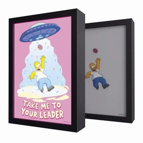 Affordable price Mini License LES SIMPSONS - Homer - Cadre Lumineux LED 28x20x5cm