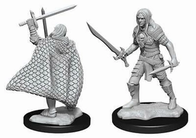 Permadeath Option PF Unpainted Minis WV13 Elf Fighter Male